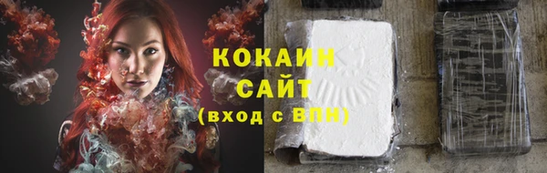 соль ск Новодвинск