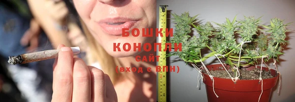 дмт Новокубанск