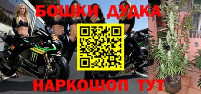 мяу мяу мука Аргун