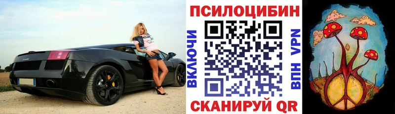 закладка  МЕГА маркетплейс  Галлюциногенные грибы Psilocybe  Нарьян-Мар 