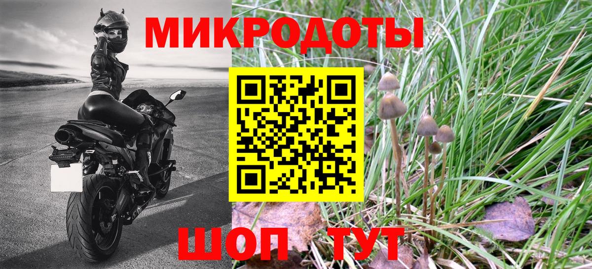 Псилоцибиновые грибы Psilocybe  Псилоцибиновые грибы MAGIC MUSHROOMS  Нарьян-Мар 