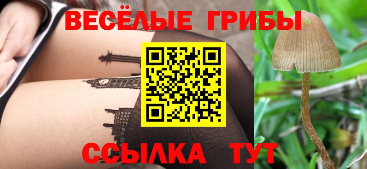 Галлюциногенные грибы Cubensis  Вход с VPN  Нарьян-Мар 