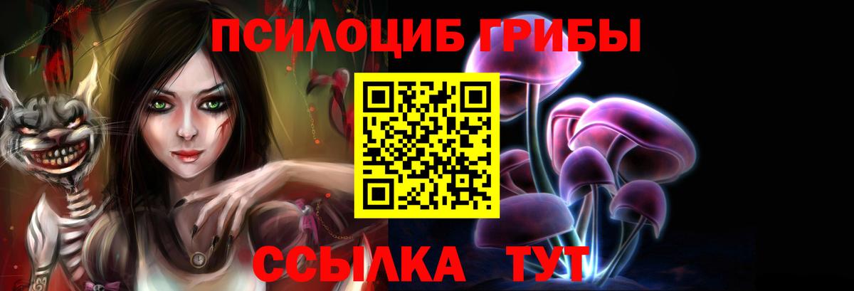 Галлюциногенные грибы Psilocybine cubensis Нарьян-Мар